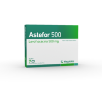 ASTEFOR